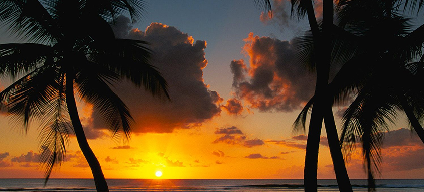 This is an example of a caption 电话轰炸机在线网页版